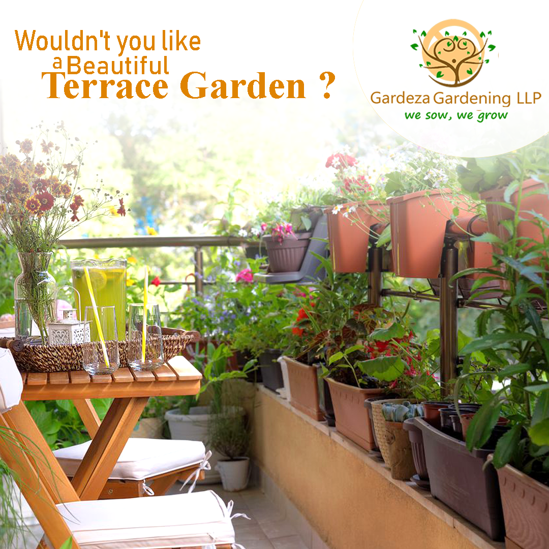 terrace garden ideas 